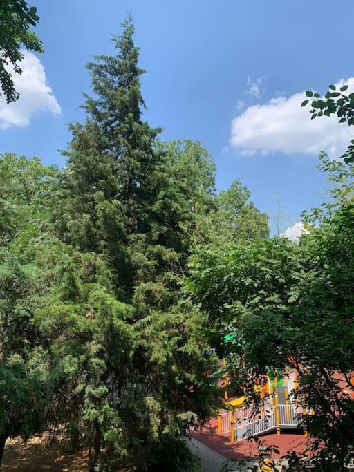 Little Paris Boutique Διαμέρισμα Βουκουρέστι Εξωτερικό φωτογραφία